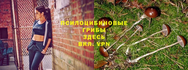 гидропоника Дмитровск